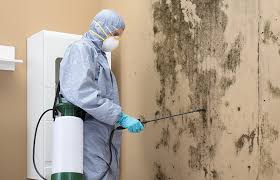 Best Commercial Mold Inspection in Fullerton, NE